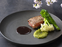 Saison～セゾン～ 季節の素材を彩鮮やかに…旬の食材を使った全7品　