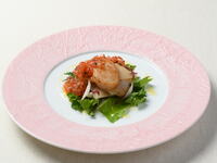 Tokyo bamboo shoots and scallop millefeuille with basil-flavored salsa sauce