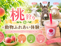 ★40-minute peach buffet + animal encounter experience ~ includes strawberry smoothie and crepe [Weekdays]