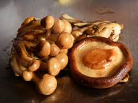 ★秋の味覚　きのこフェア　15％OFF！[バリュープラン土日祝日ディナー)] シェフコース+ワンドリンク 16,500円