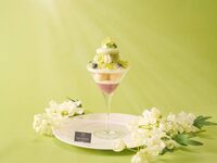 【平日限定】夏の味覚！シャインマスカットパフェ　TWGを含むカフェフリー
