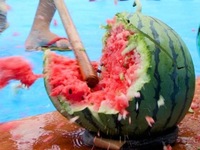 三浦産スイカ割体験セット（事前予約制）