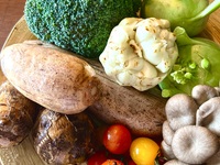 むにゅレギューム