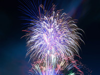 【花火開催日限定】特別コースディナー（乾杯ドリンク付）