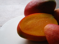 8/2、3、4　３日間限定　真夏のデセールコース（全6皿）