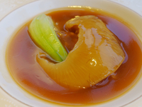 【9-11月】フカヒレ姿煮込み・北京ダック・真鯛入りコース／飲み放題付 10,000円