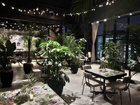 Rooftop Beer Garden "Botanical Forest Nights"　Free Flow Only Standard