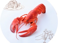 【土曜ランチ20食限定オマールフェア】One Harmony会員Lobster  Course