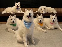 ≪夏休み期間 (土日祝)≫通常チケット（50分）