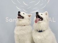 <<Summer Vacation Period (Weekdays)>> Regular Ticket (50 minutes)