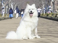 <<Summer Vacation Period (Saturdays, Sundays, and Holidays)>> Regular ticket (50 minutes)