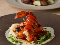 【Dinner】‘‘ ESSENCE　COURSE‘‘　《WEB予約限定！乾杯ドリンク付き🥂》