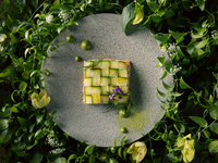 LOQUAT《スタンダード》 ディナーコース （昼間）