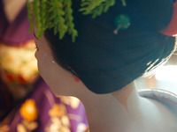 【8月23日開催】舞妓さん・芸妓さんとご一緒に！特別ディナープラン