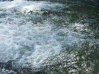 [Irori] Tasting Course