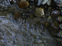 [Irori] Tasting Course - Alcohol Pairing