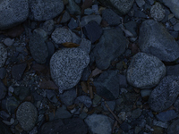 [Kino-Ma] Tasting Course - Non-alcoholic Pairing