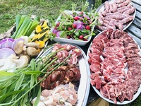 在羽山的自然环境中，徒手的花园烧烤计划（含饮料）