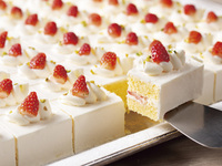 【平日ランチビュッフェ 】季節の食材を使用したシェフ自慢の料理と大人気のジャンボショートケーキ