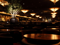 [Dinner] Seat reservation only