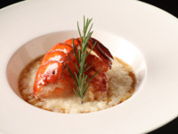 【Menu B】 2 dishes（Appetizer&main dish) <Lunch>