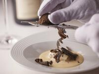 Truffes Light Lunch 5品