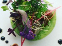 MENU DEJEUNER　【3Plats】アミューズ＋前菜＋魚料理＋肉料理＋デザート