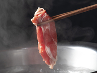 All-you-can-eat lamb shabu-shabu STANDARD (H course) 90 minutes + light all-you-can-drink