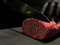 期間限定コラボ　ぎゅうたつコース