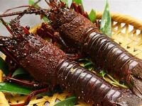 【スパークリング含む飲み放題付】活鮑、伊勢海老（半身）、厳選サーロインステーキ等