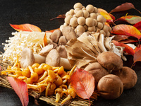 【9/6限定】黄金の秋に酔いしれる 珠玉のフレンチとワインの調べ