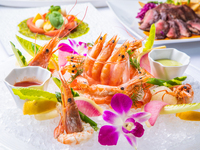 【MAIMON dinner couse】2h飲み放題付！生牡蠣やおすすめ料理をカジュアルに頂く全7品