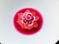 【Window Seat Guaranteed】   7 Course「Voyage」 Anniversary Dinner with Champagne