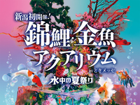 【錦鯉・金魚アクアリウム入場券・ドリンク券付】飲茶ブッフェプラン(お盆)