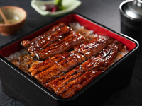 Kagoshima/Osumi Unaju (Top-grade eel) (3/4 tail)