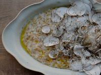 Iwate Prefecture Geofarm Fresh Mushroom Risoni with Lemon Butter Sauce