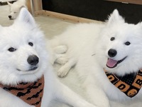 <<Summer Holiday Period>> Regular ticket (50 minutes)