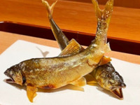 lunch -OMAKASE- course