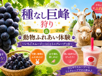 ★種なし巨峰40分食べ放題+動物ふれあい体験～いちごスムージーとクレープ付き～【平日】