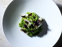 ◇ランチ 早割10% OFF◇Contento　コンテント