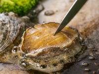 【あわびコース Abalone Course】