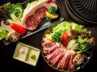 Premium Wagyu Sirloin Steak