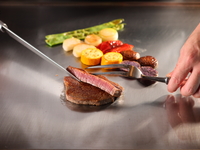 ランチ鉄板焼きコース雅メニュー （平日）