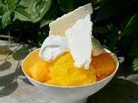 【かき氷】PARFAIT SHAVED ICE