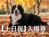 入場券（土日祝）