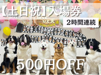 入場券（土日祝）2時間連続