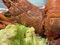 豪華絢爛　12000円コース