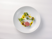 ＜フォンテーヌ＞シェフお勧めランチメニュー！