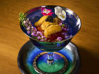 [Includes Matcha in the tea room] Special Omakase Sushi Course