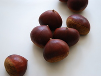 季節のデセールコース（全6皿）